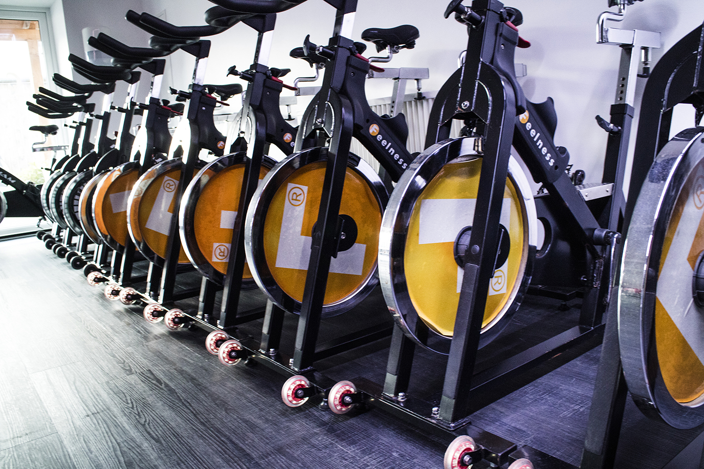 Family Fitness Bernburg – Bewegung verbindet