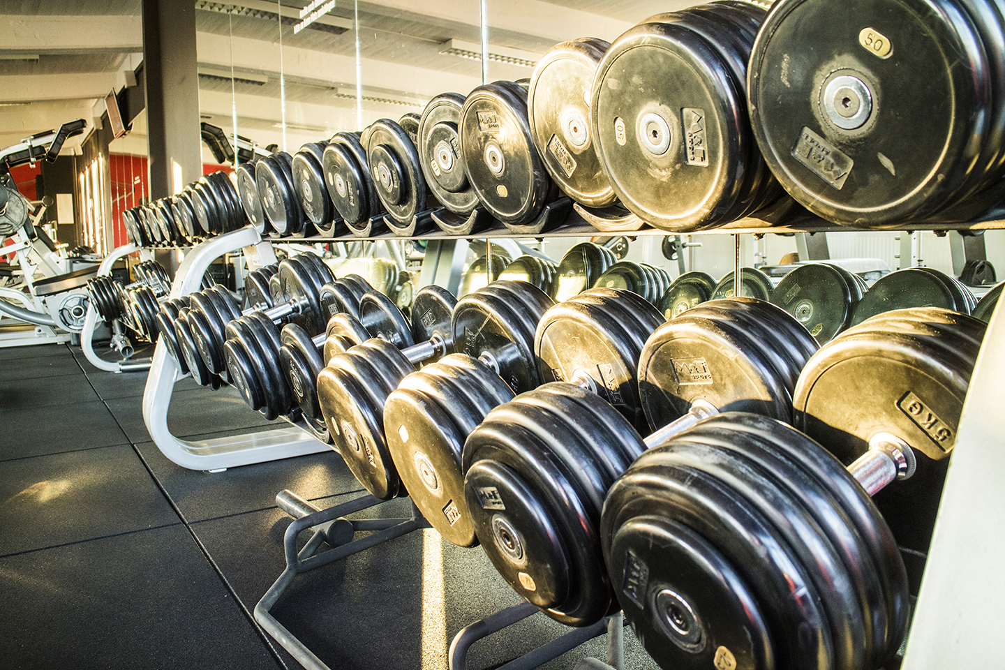 Family Fitness Bernburg – Deine Fitnessreise beginnt hier