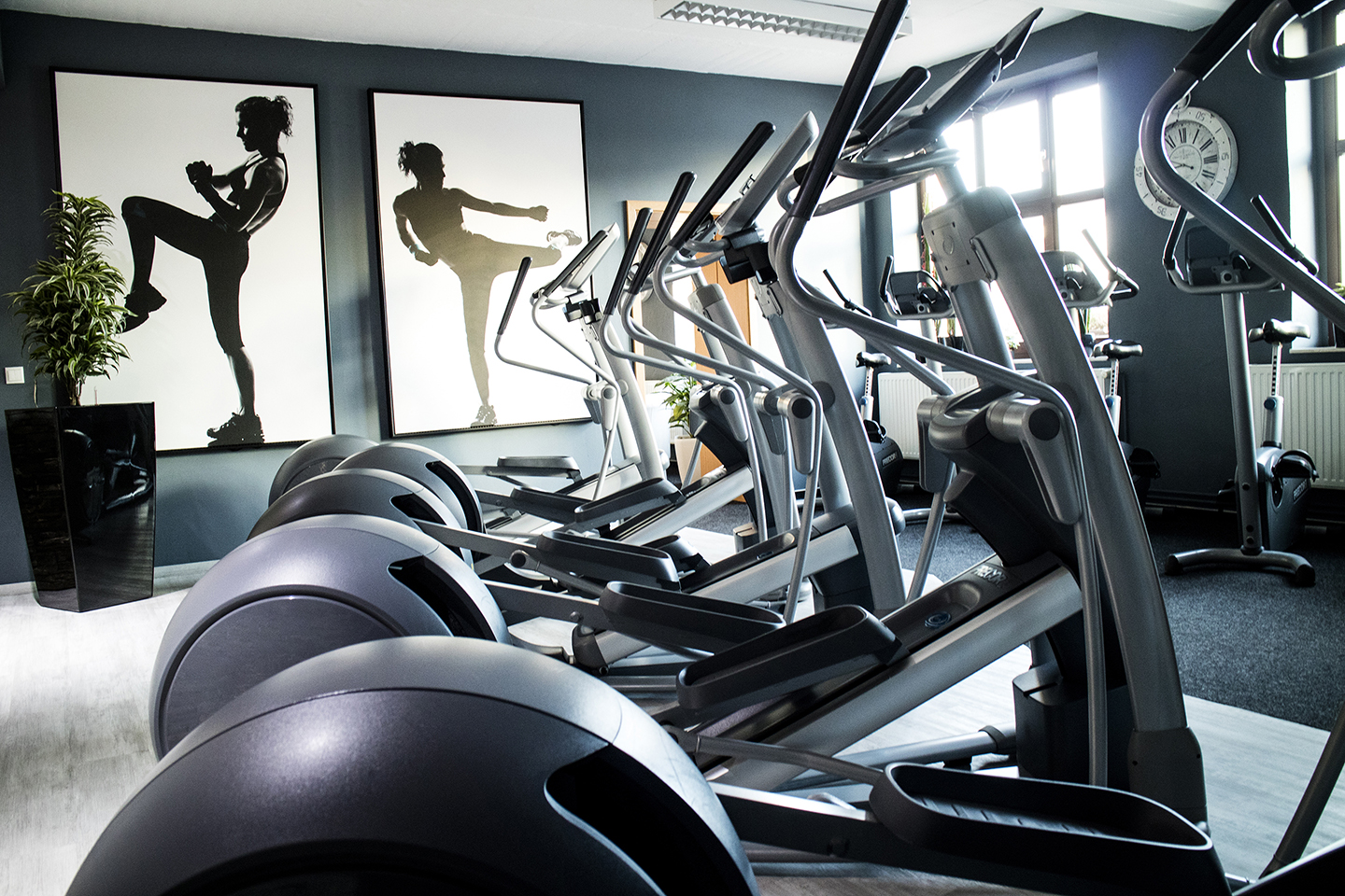 Family Fitness Bernburg – Gemeinsam zum Ziel