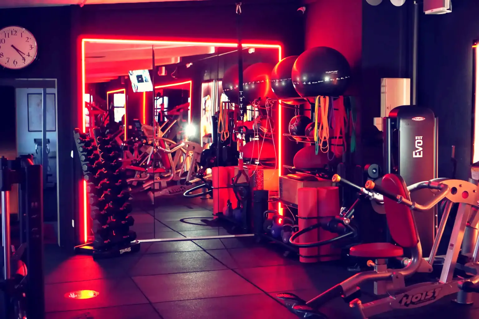 Family Fitness Bernburg Profi Studio1