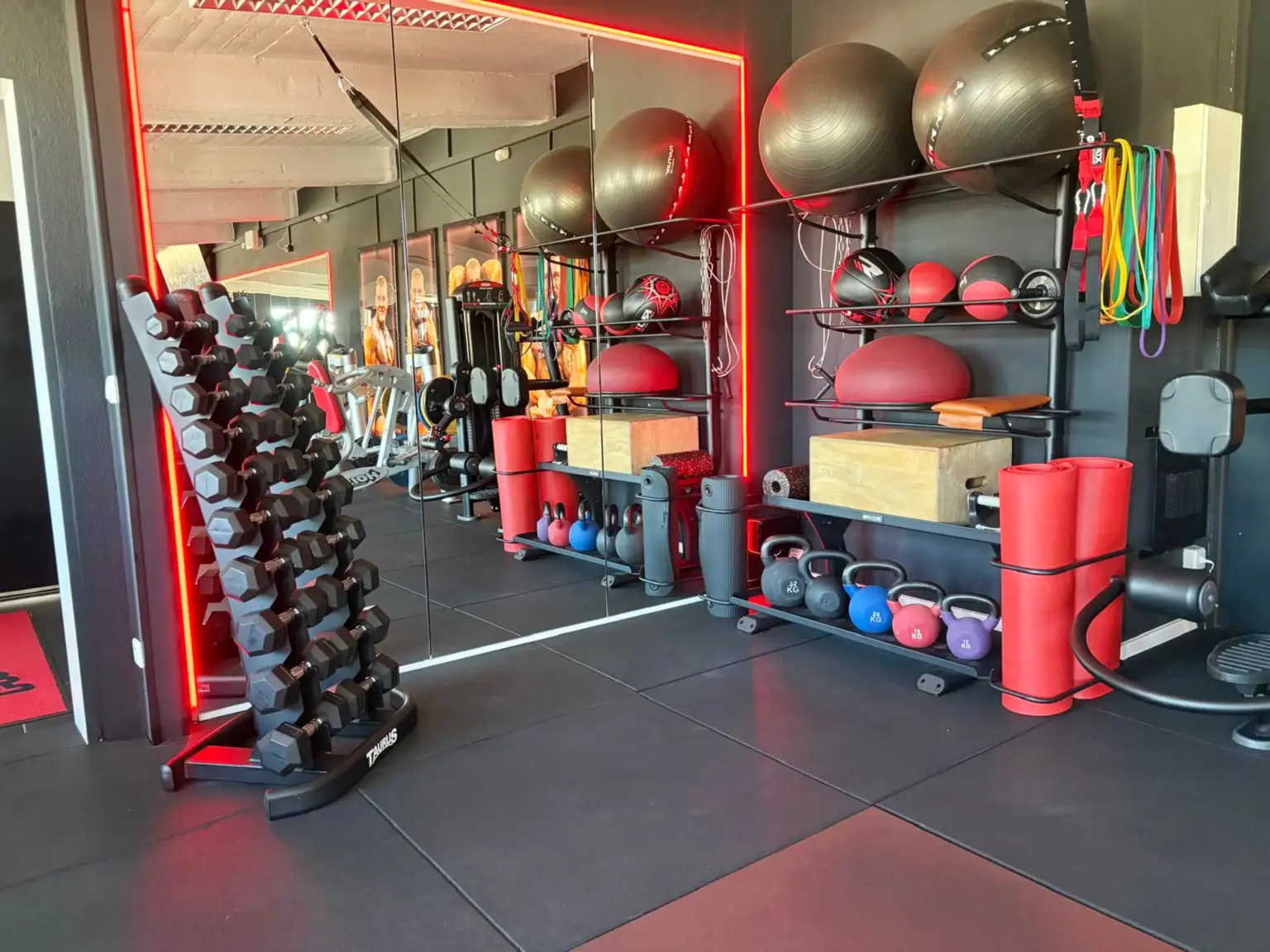 Fitness mit Spaß – Family Fitness Bernburg erleben