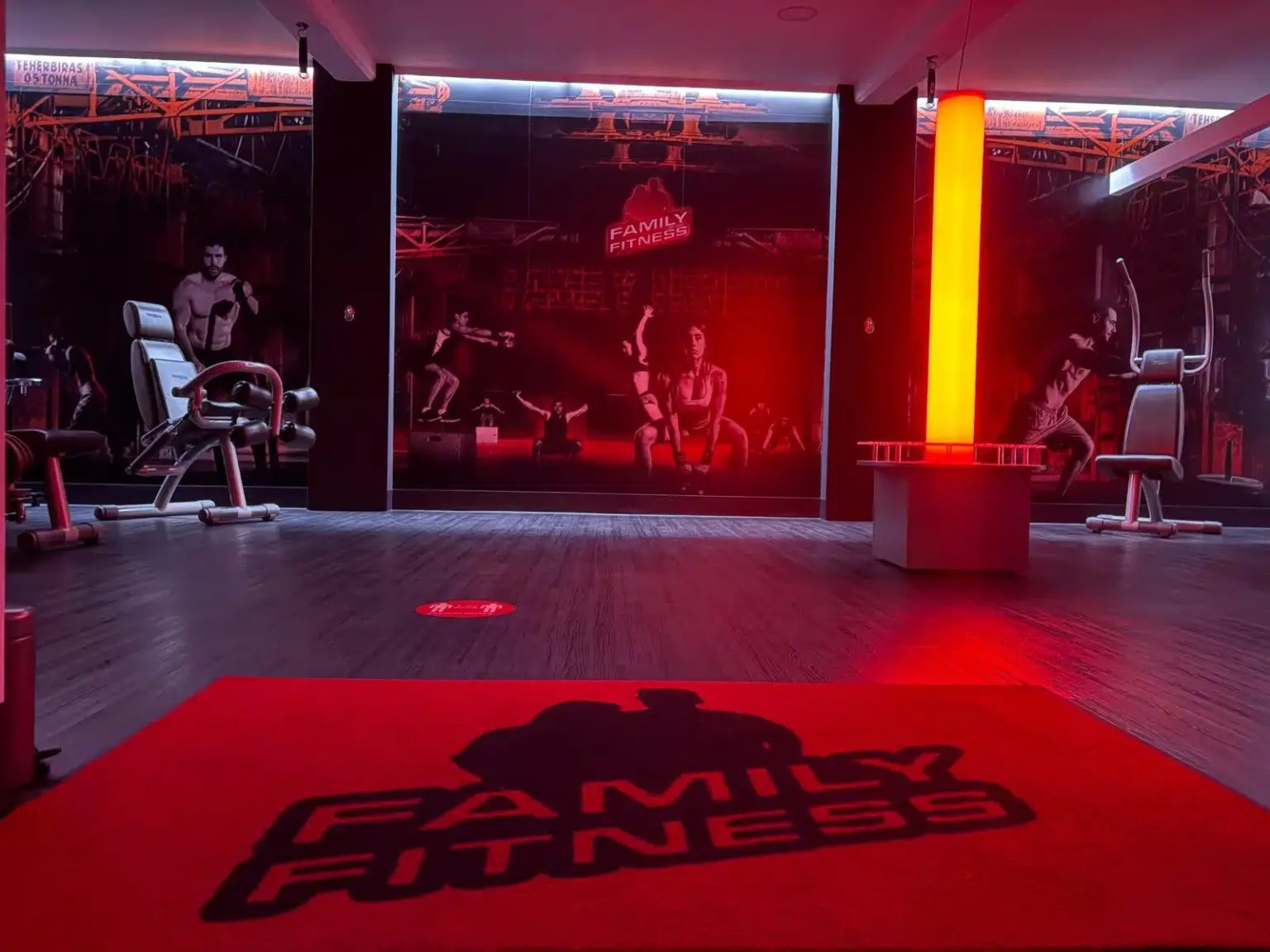 Starker Rücken, gesunde Haltung – Family Fitness Bernburg